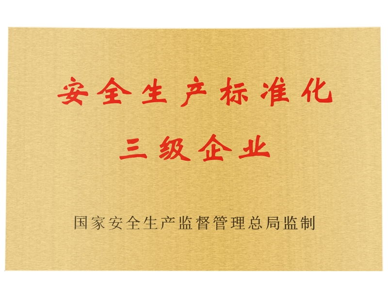 安全生產(chǎn)標(biāo)準(zhǔn)化三級企業(yè)