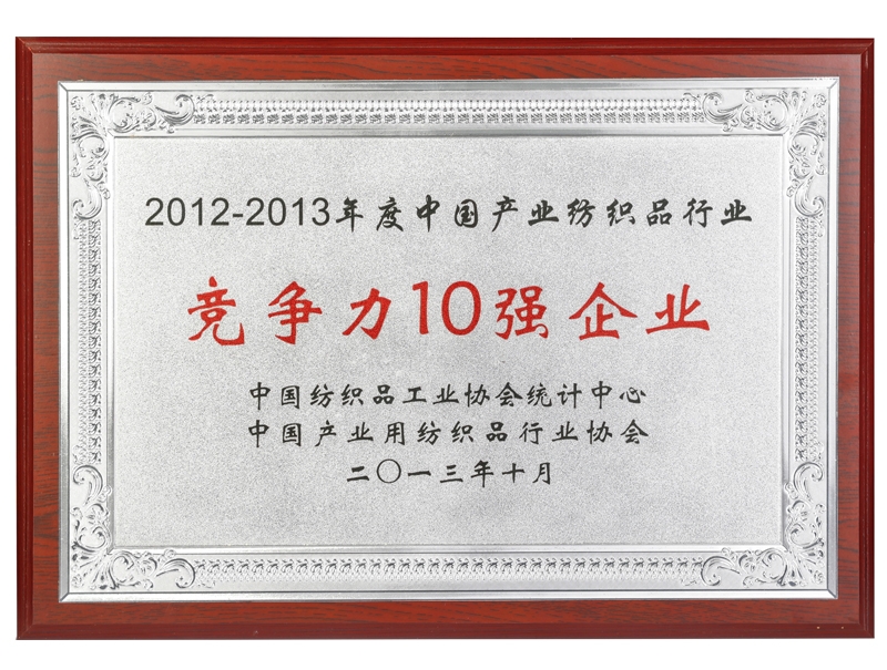 競爭力10強(qiáng)企業(yè)